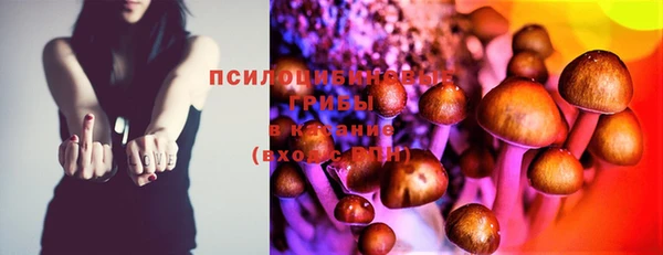 2c-b Белокуриха