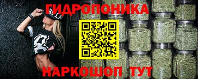 ПСИЛОЦИБИНОВЫЕ ГРИБЫ Кулебаки