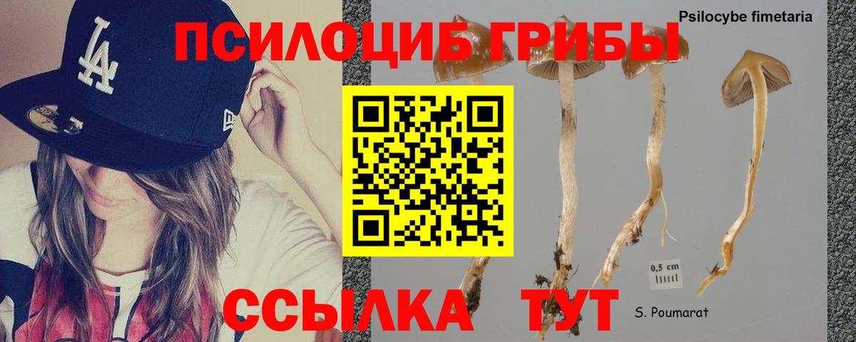 Псилоцибиновые грибы мухоморы  Вход с VPN  Воскресенск 