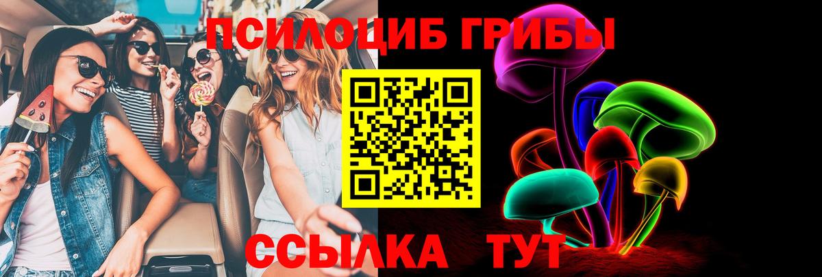 Псилоцибиновые грибы мицелий Воскресенск